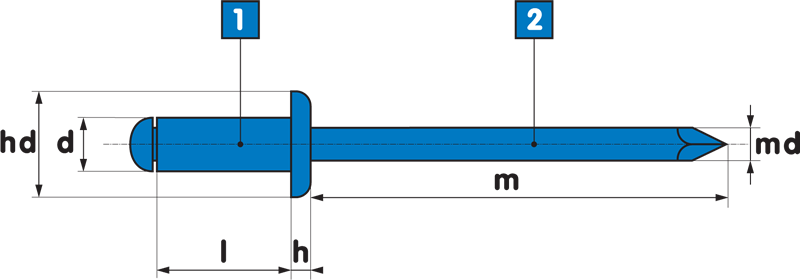 4.8 x 25